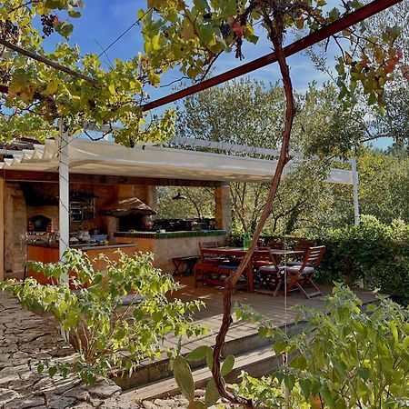 Cernache do Bonjardim Glamping Do Ze酒店 外观 照片