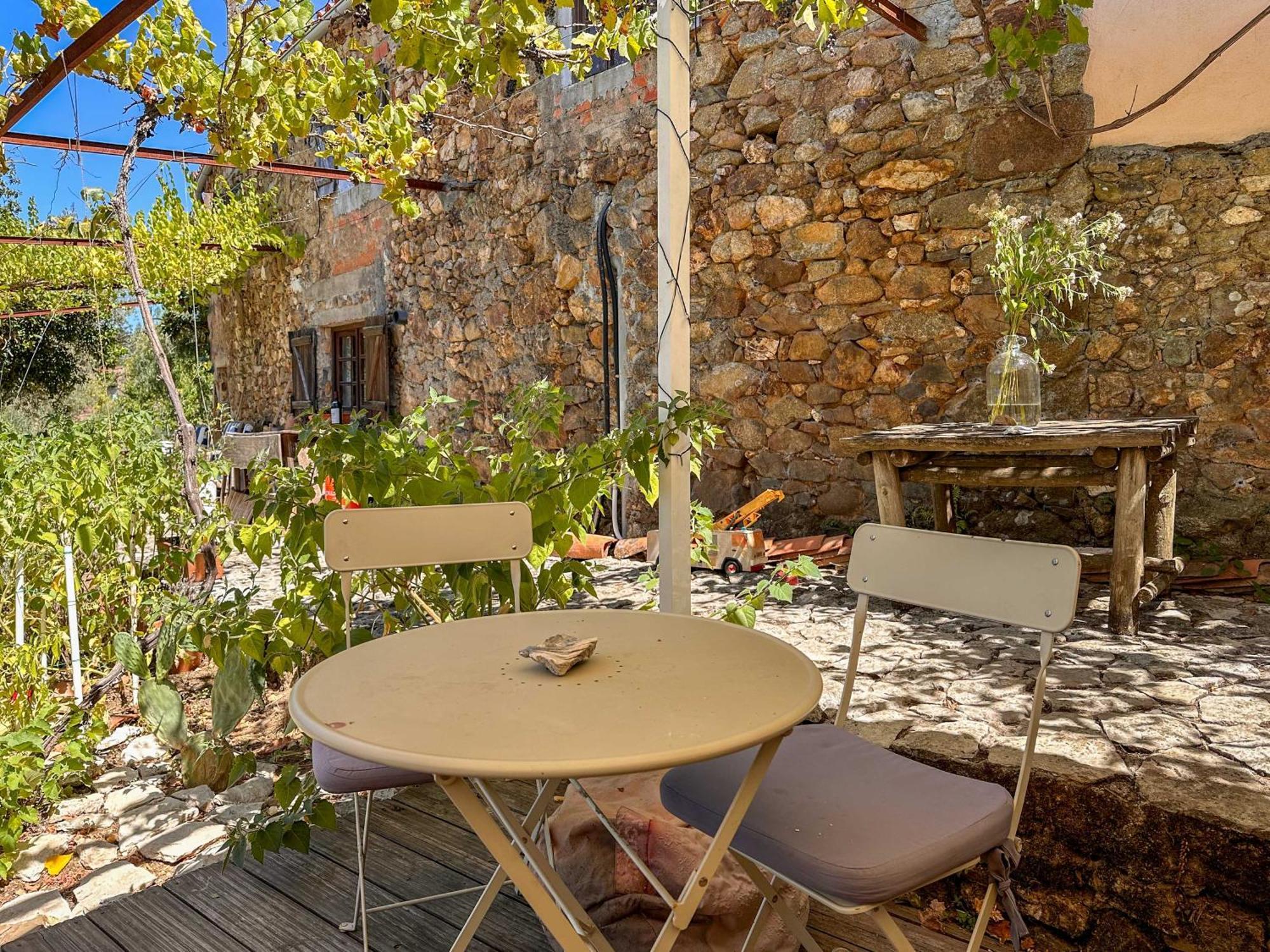 Cernache do Bonjardim Glamping Do Ze酒店 外观 照片